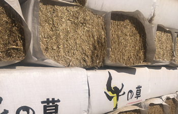 玉米秸稈草